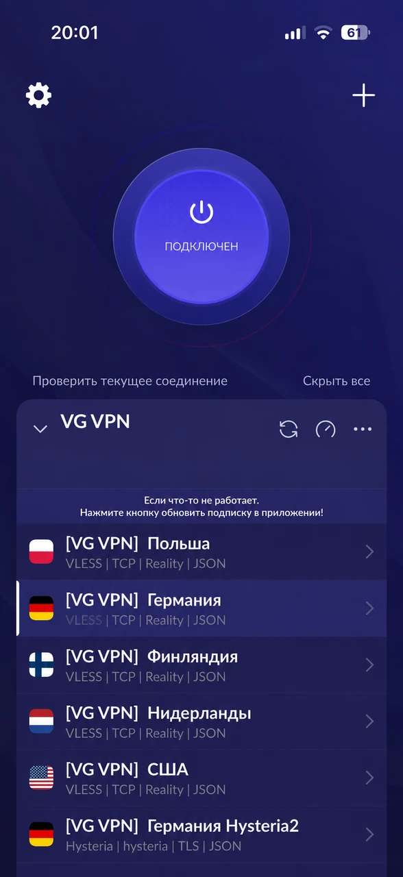 Список подключений VG VPN на iPhone: выбрана Германия с VLESS, ниже доступна Германия Hysteria2.